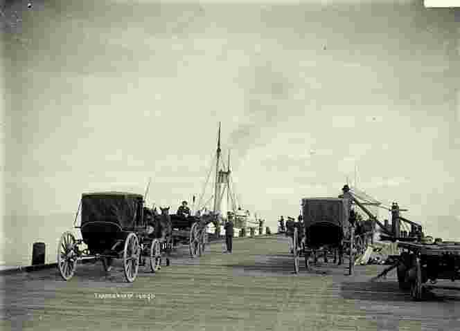Thames. Horse drawn carriages at the Shortland Wharf, 1896