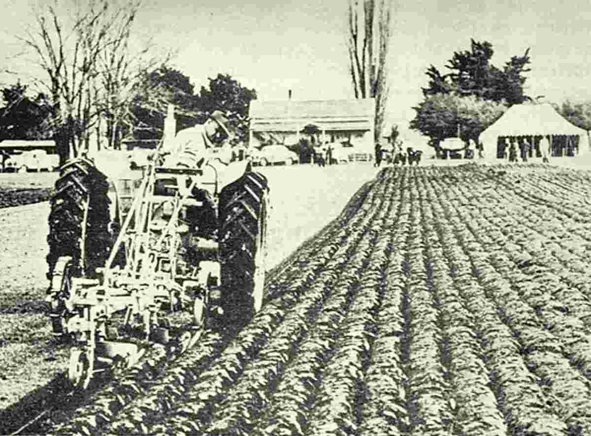 West Melton. Charlie Read won the National Final along ploughing, 1963
