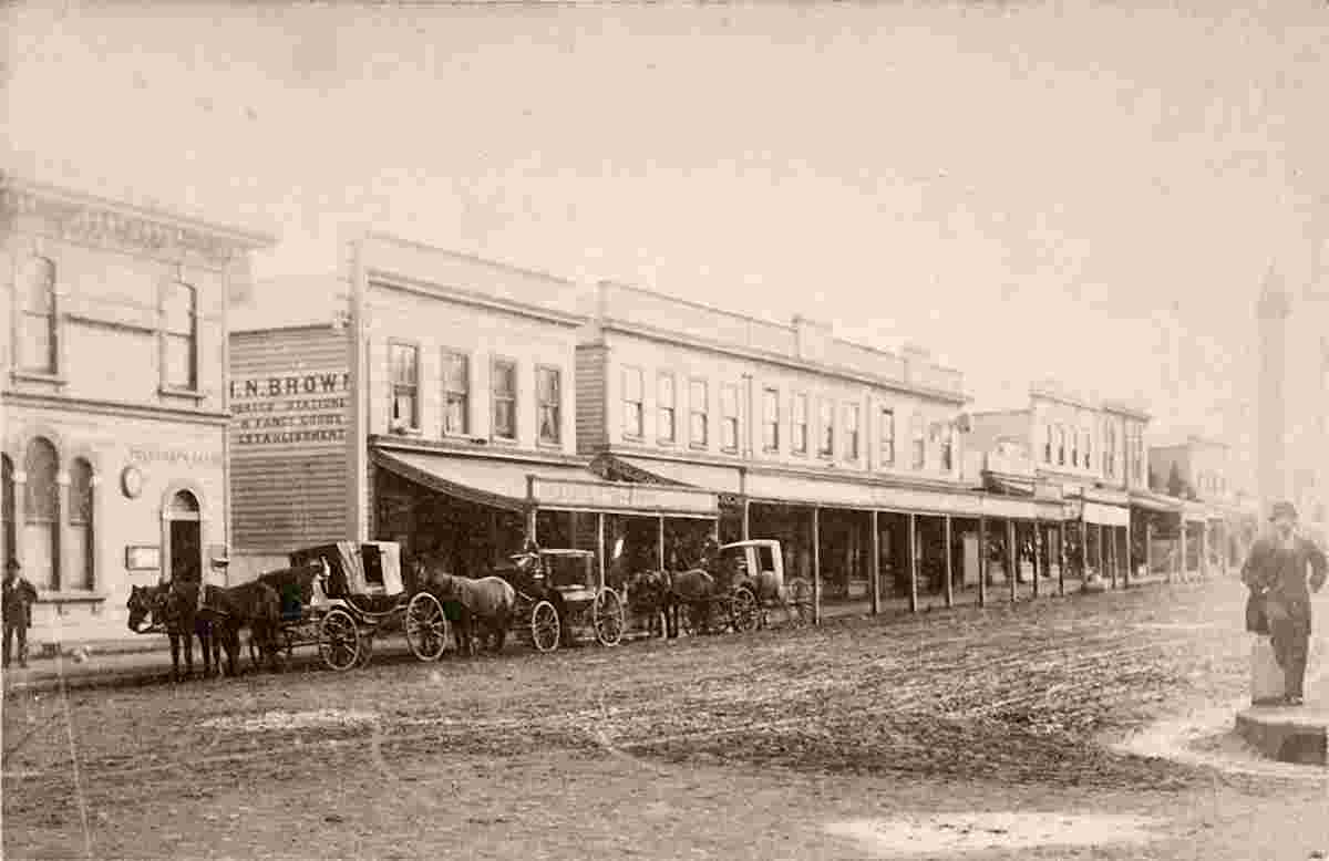 Whanganui. Victoria Avenue, 1880s