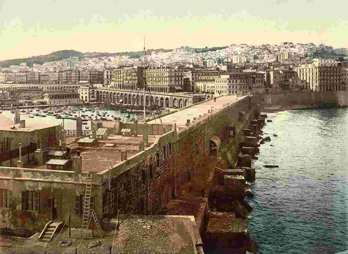 Algiers. Panorama of harbor