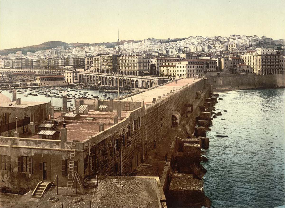 Algiers. Panorama of harbor from the lighthouse, circa 1900