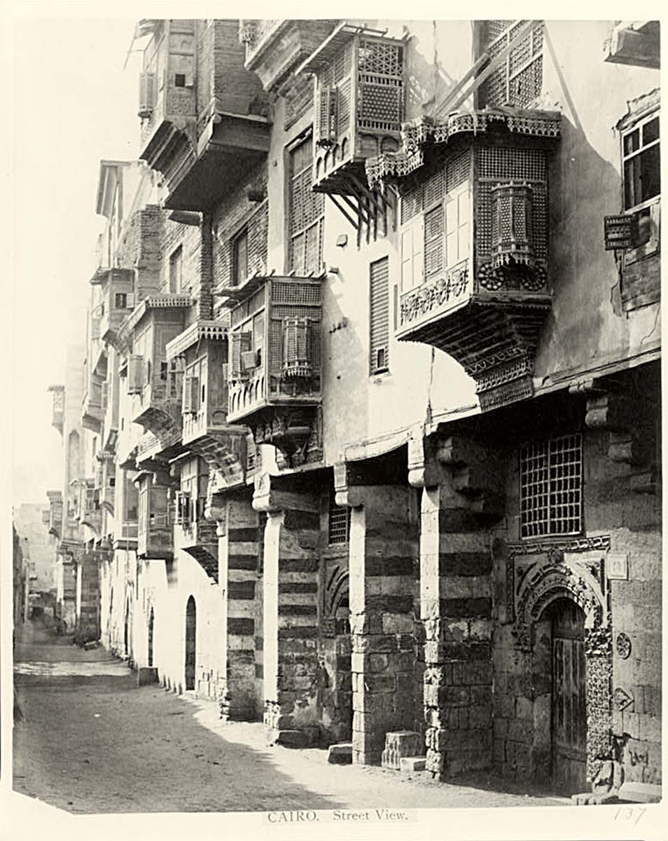 Cairo. Panorama of houses, circa 1890