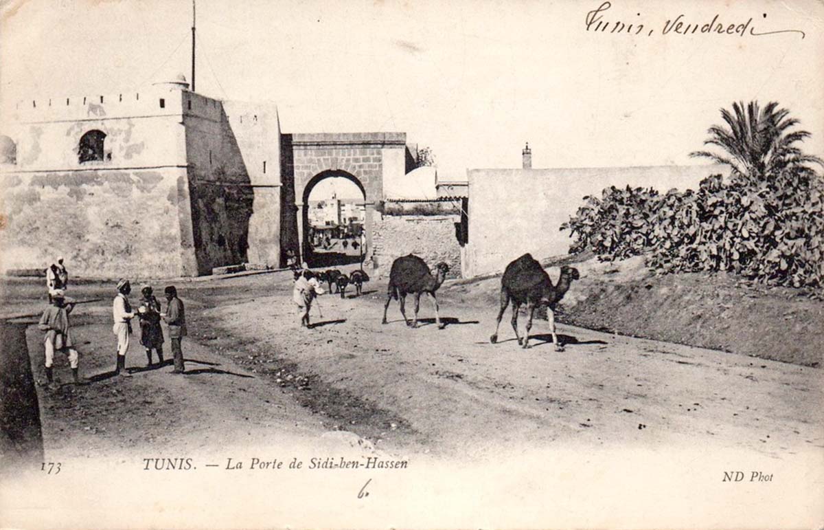 Tunis. Sidi ben Hassen Gate