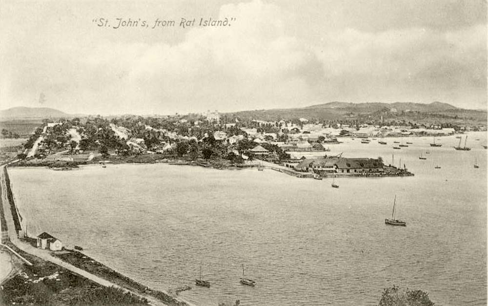 St. John's. Panorama of St. John's from Rat island
