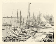 Nassau. Sponge fleet, between 1900 and 1906