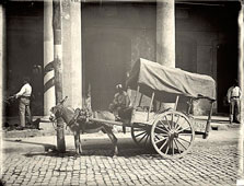 Havana. Coconut merchant's wagon