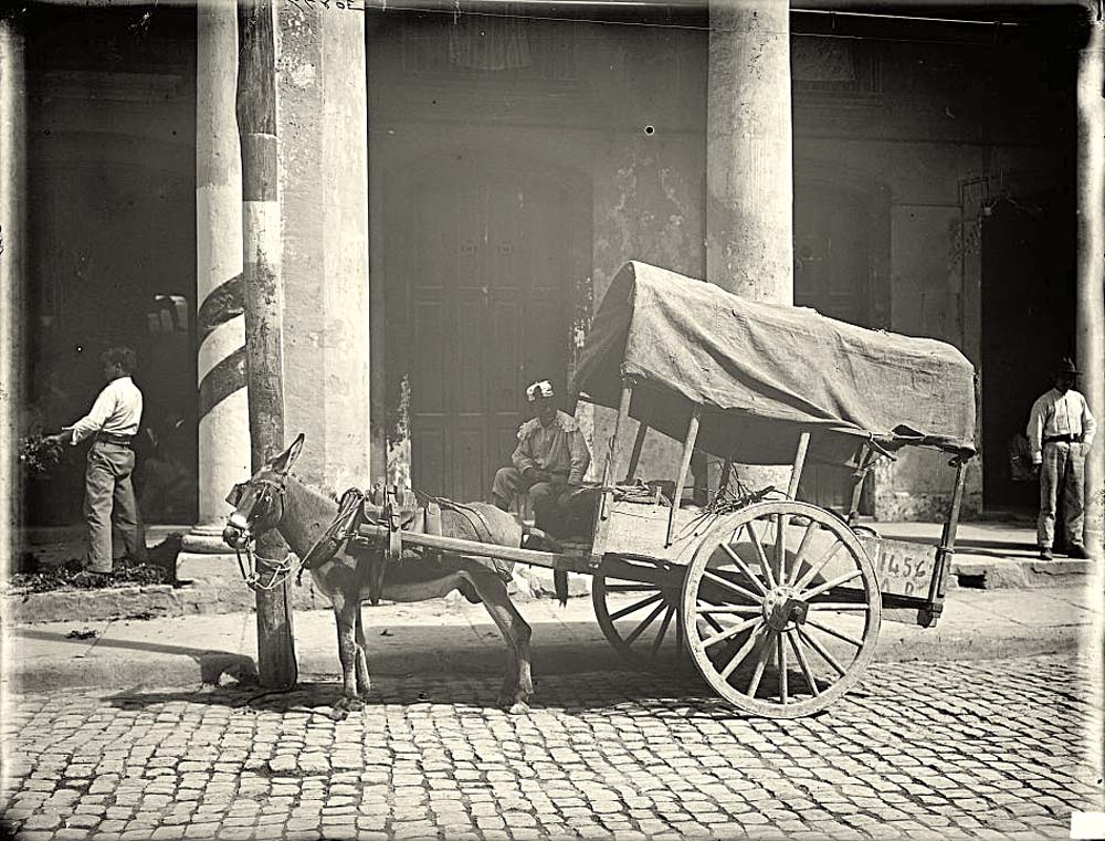 Havana. Coconut merchant's wagon, circa 1890