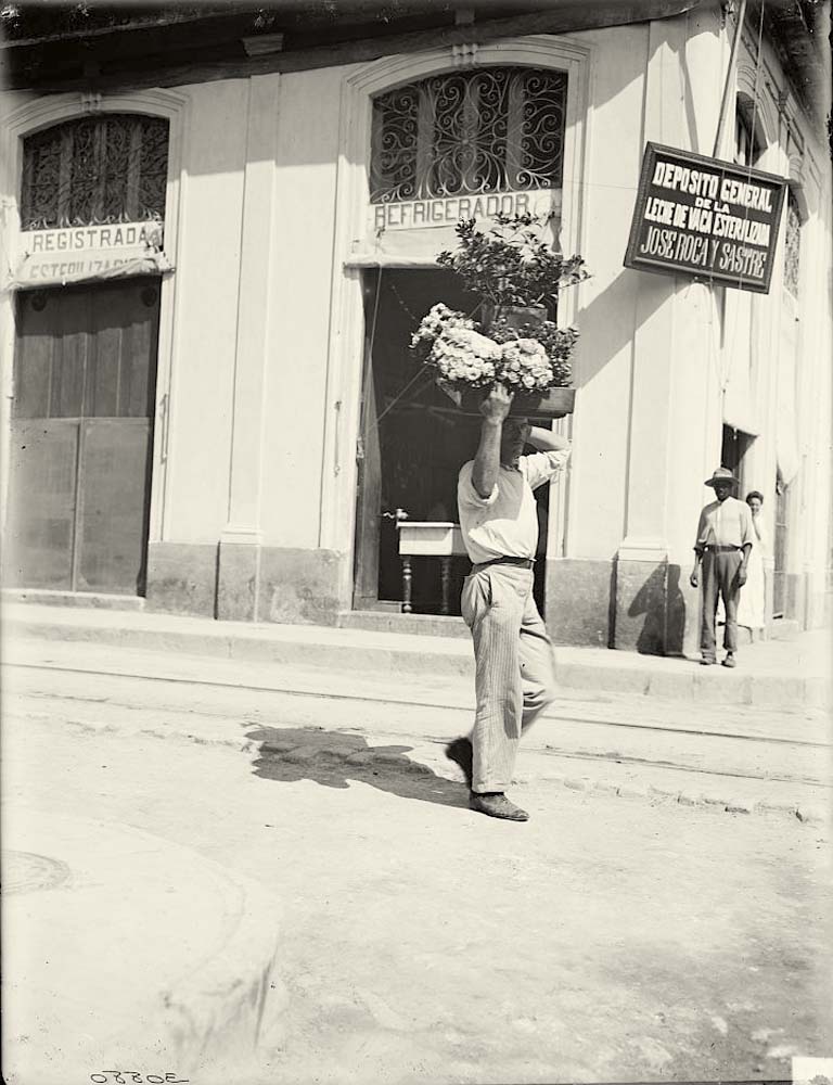 Havana. Flower vendor, circa 1890