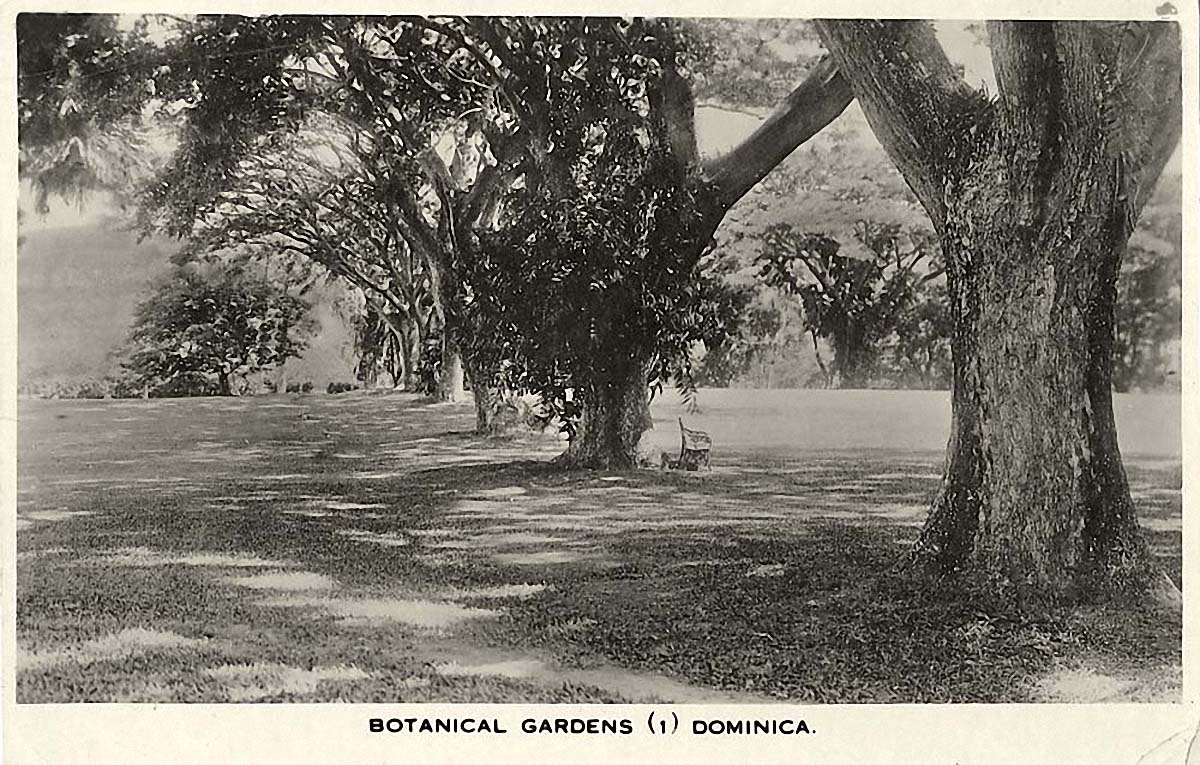 Roseau. Botanical Garden, 1937