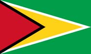 Flag of Republic of Guyana