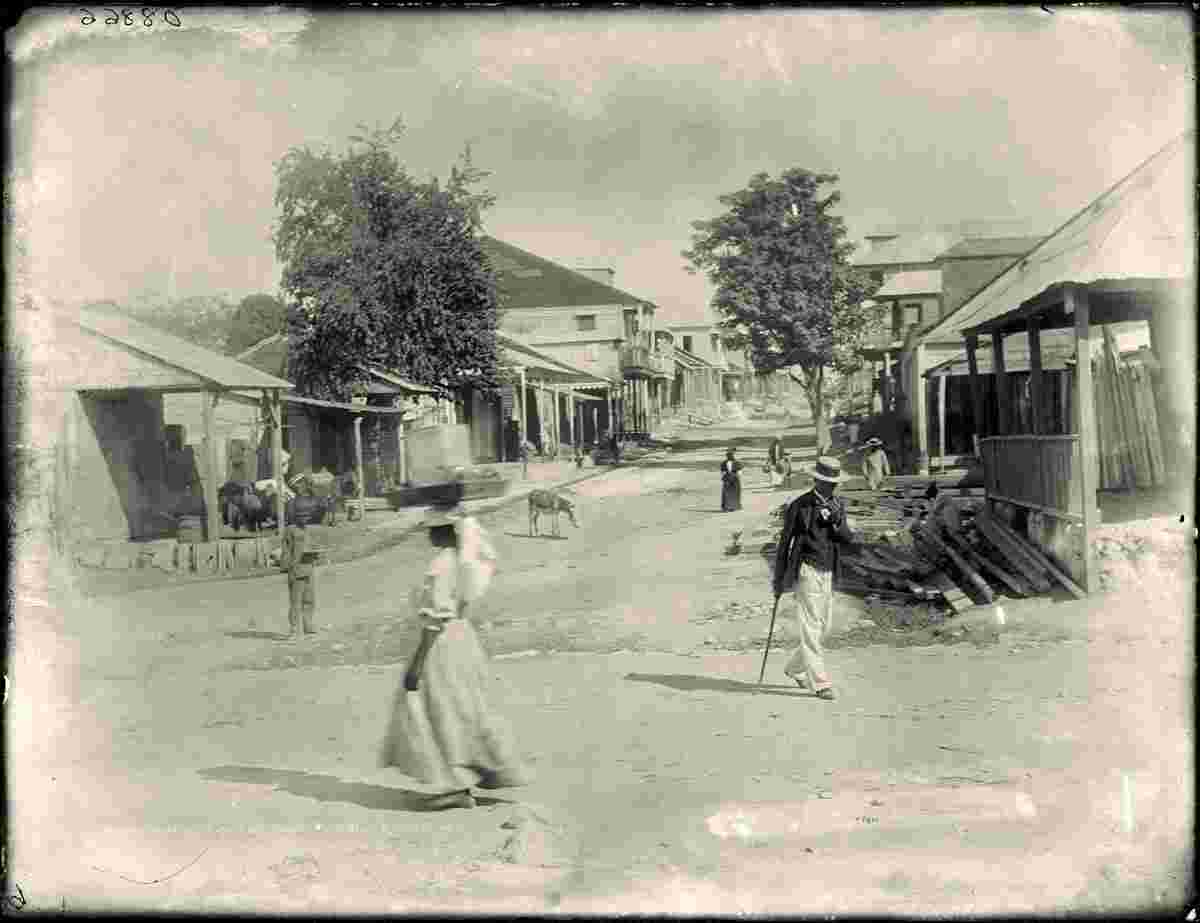 Port-au-Prince. Panorama of town street, circa 1890