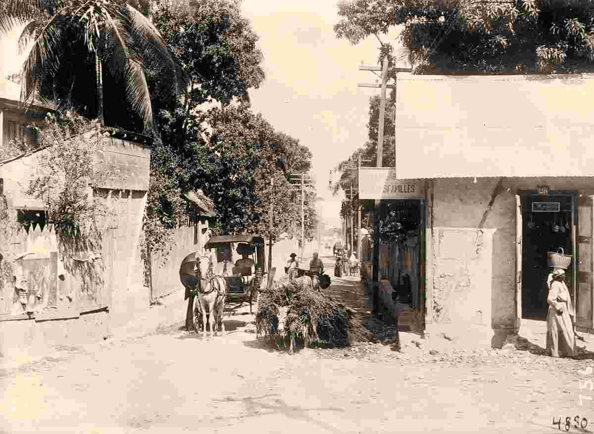 Port-au-Prince. Panorama of town street, 1911