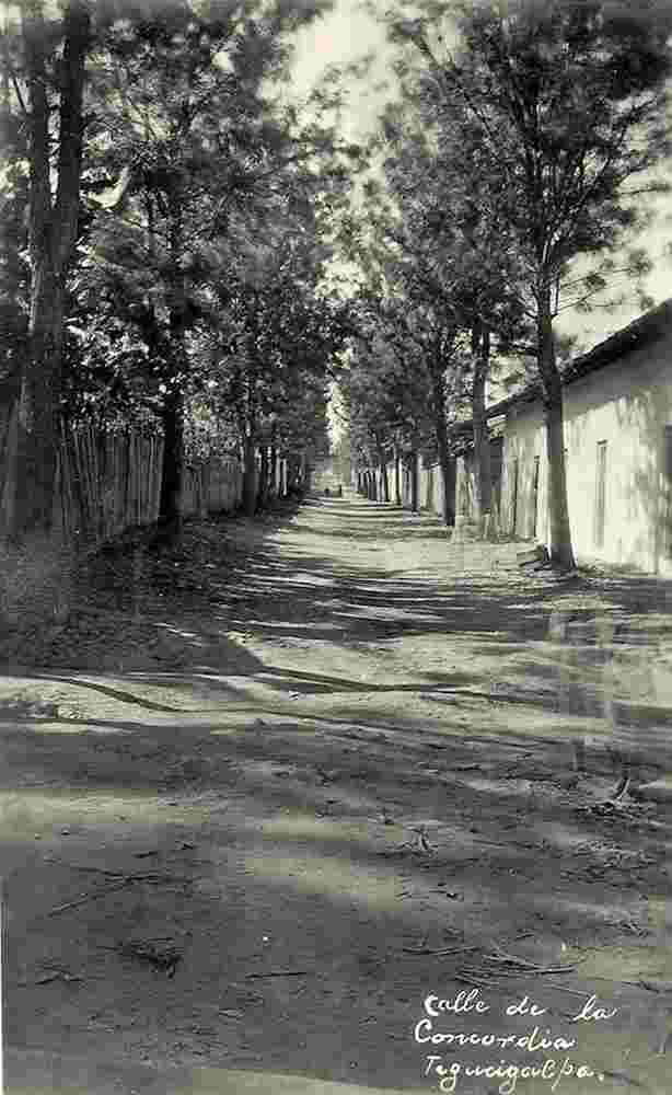 Tegucigalpa. Concordia Street, 1920s