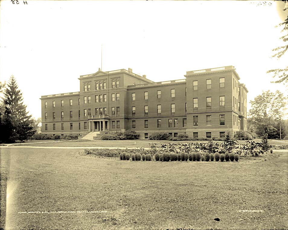 Lansing. Norman's building, 1900