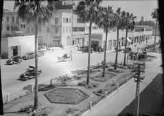 Tel Aviv. King George Avenue, between 1940 and 1946