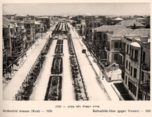 Tel Aviv. Rothschild Avenue, West, 1926