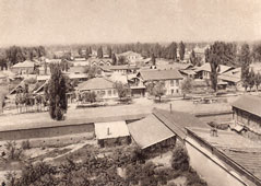 Alma-Ata. View of the northern part of the city from the Tatar mosque, 1929
