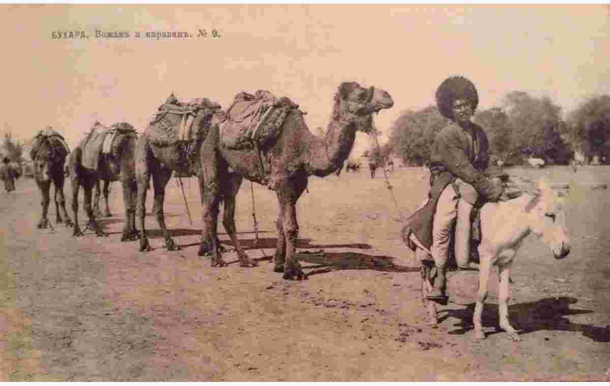 Bukhara. Camel caravan