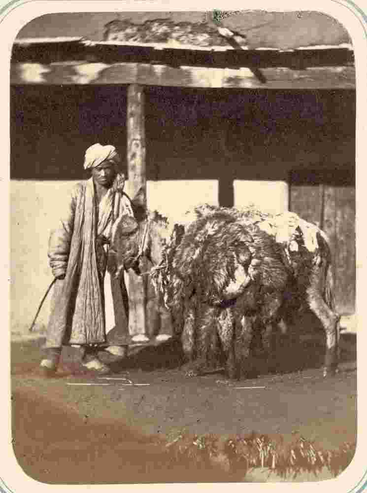 Jizzakh. Vendor of Animal Hides, 1860s
