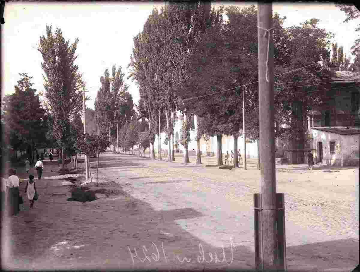 Tashkent. Street near the former Tashkent prison, 1929