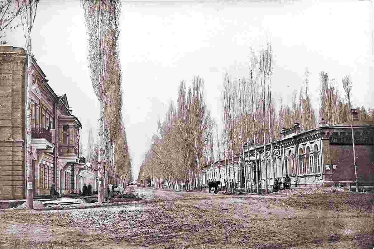 Tashkent. Sobornaya Street, intersection with Irdjarskaya Street, Dmitriy Zaho shop and Krause pharmacy, 1889