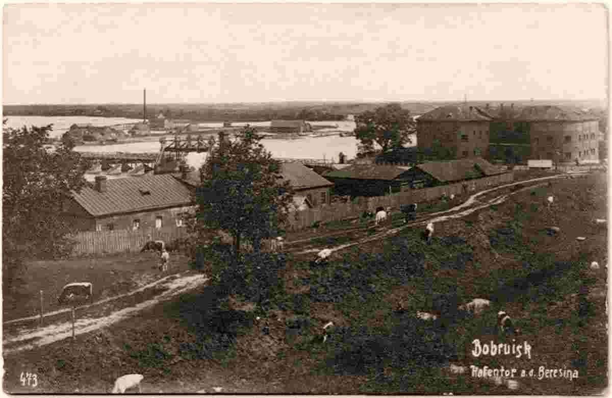 Babruysk. View of the city and Berezina river, 1918