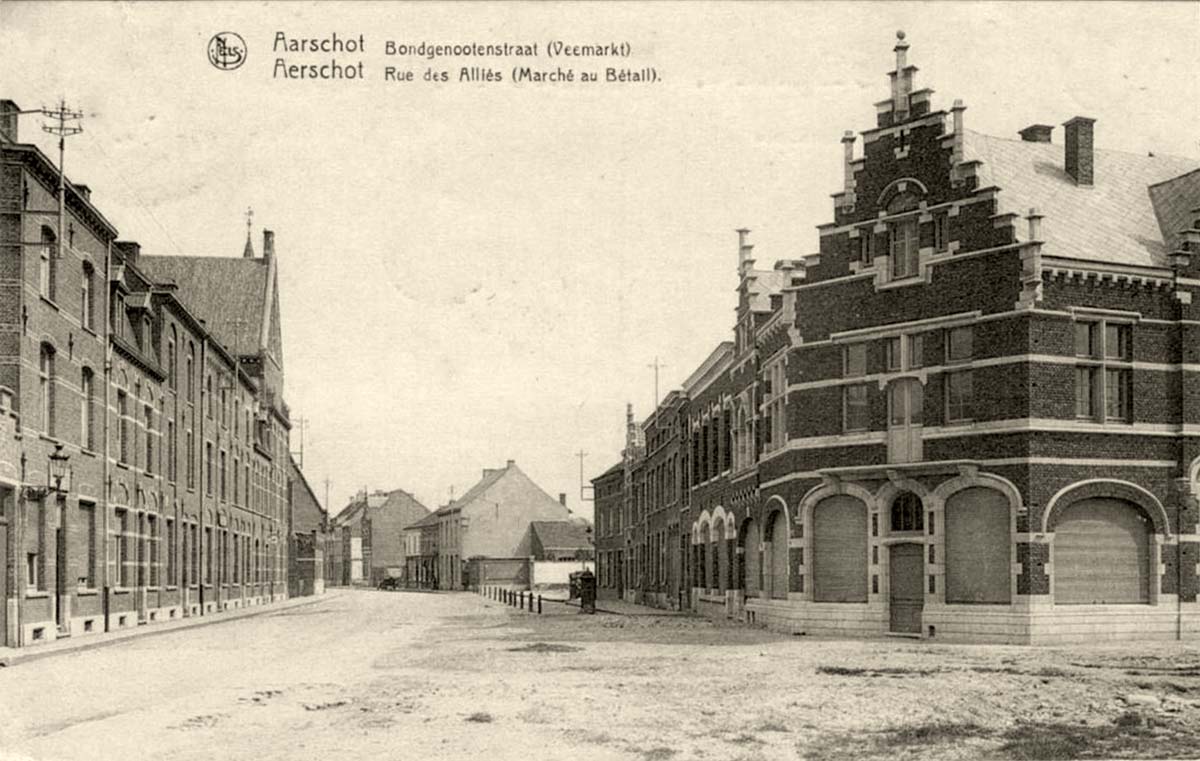Aarschot. Rue des Alliés (Marché au Betail), 1923