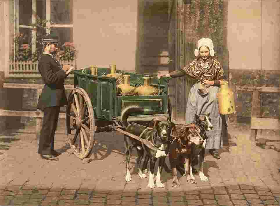 Antwerpen. De lait, 1890