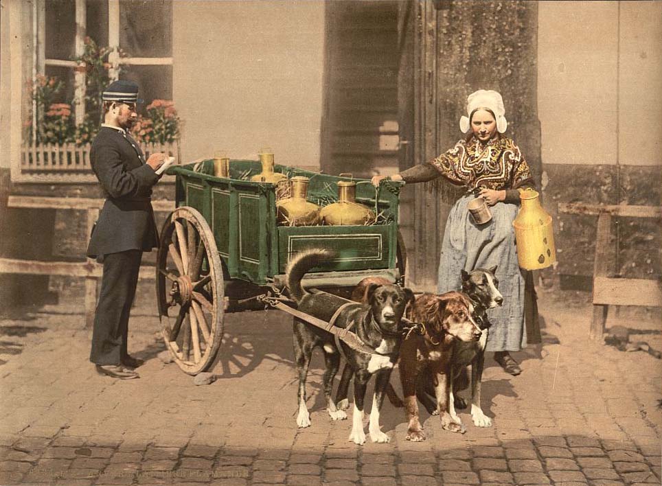 Antwerpen. De lait, les femmes flamandes, 1890