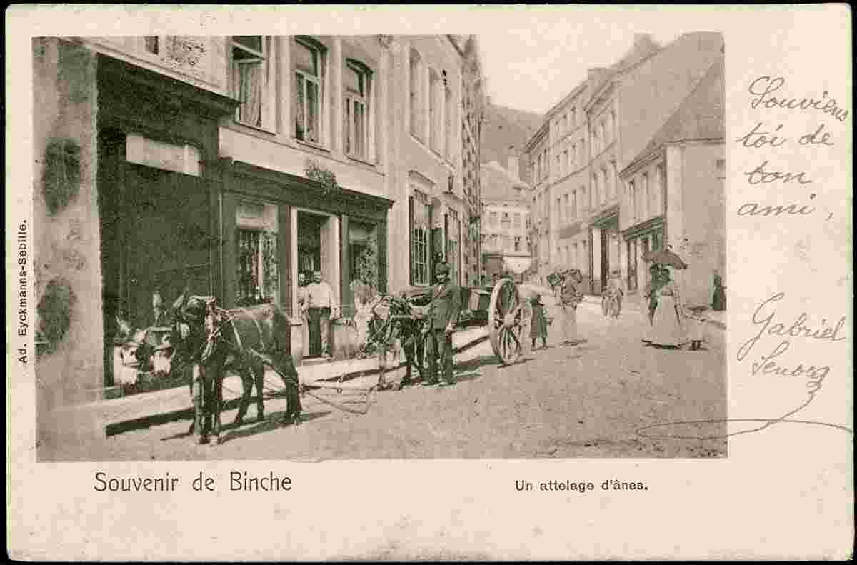 Binche. Un attelage d'anes en Rue, 1903
