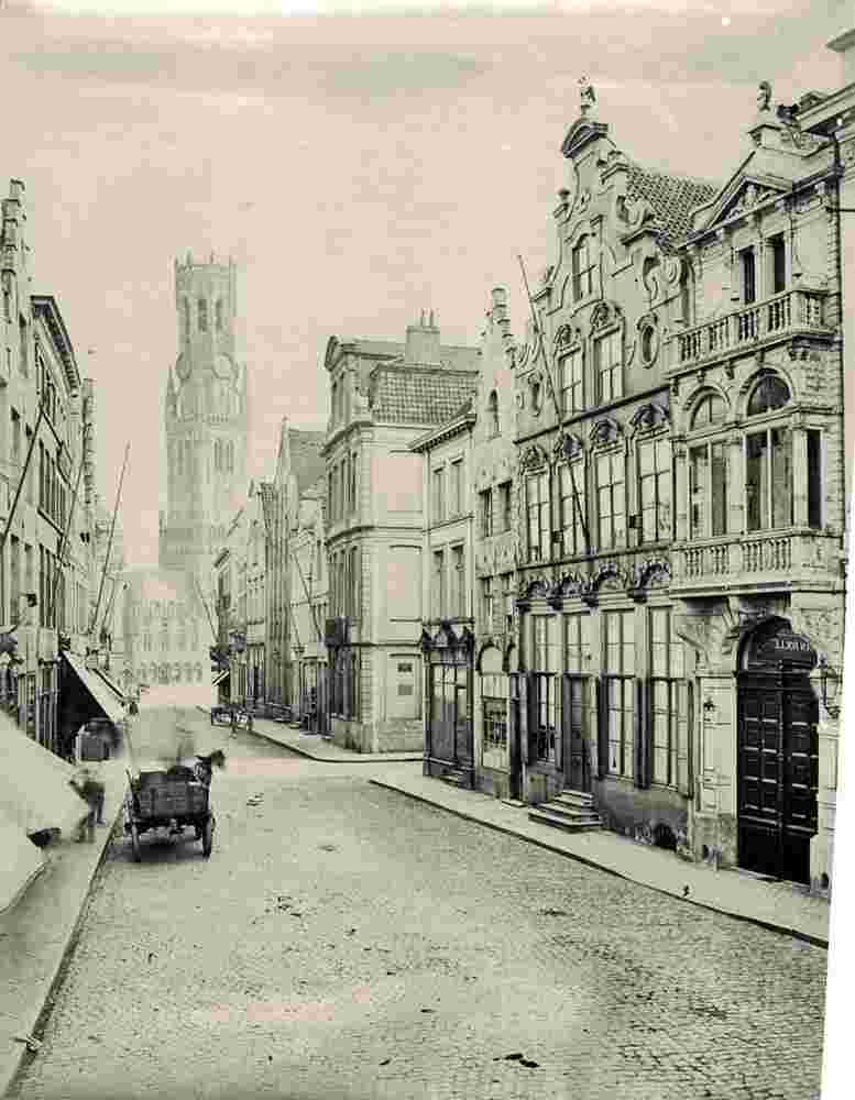 Bruges. Panorama de la Ville, 1880