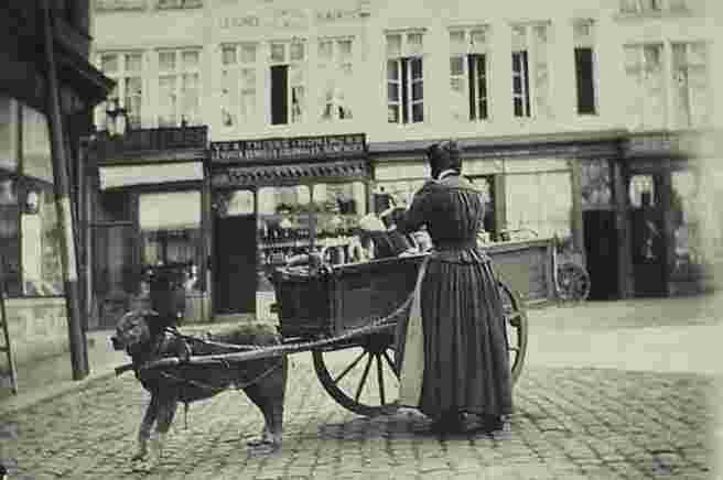 Brussels. Milk woman and Dog-Cart, 1894