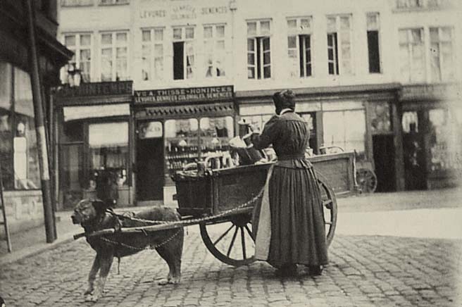 Bruxelles (Brussel). Milk woman and Dog-Cart, 1894