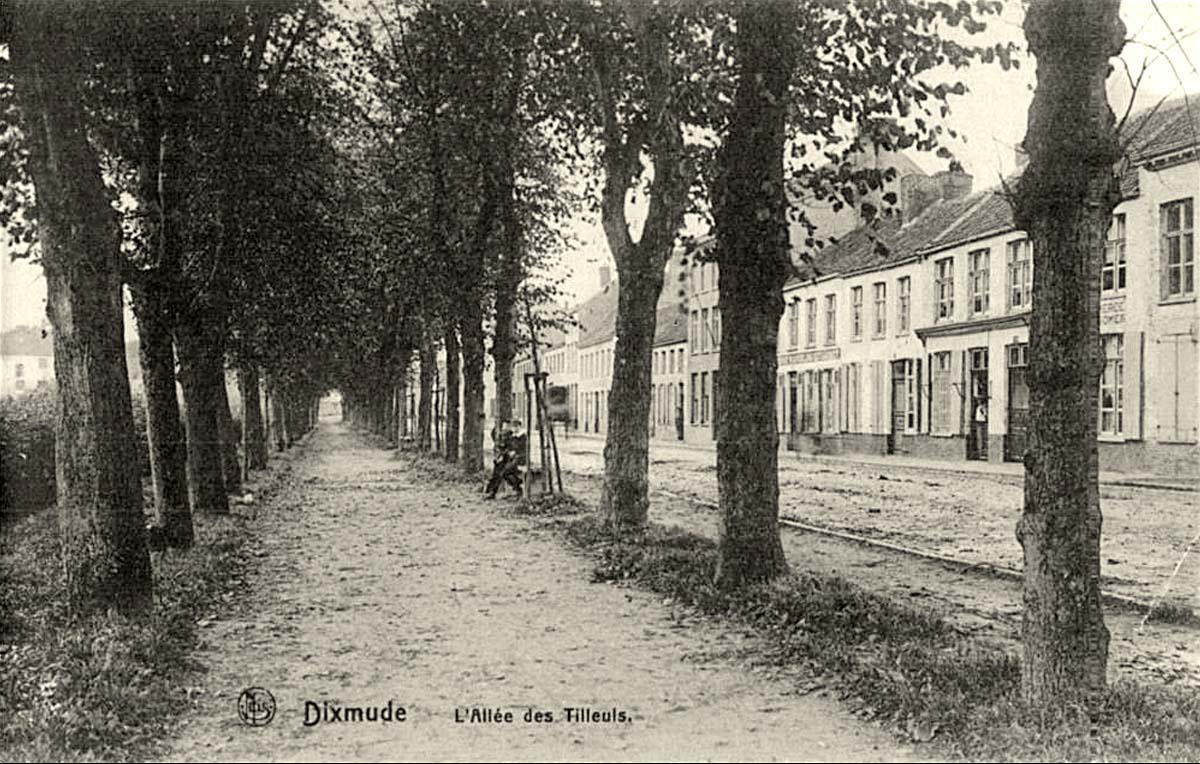 Dixmude (Diksmuide). L'Allée des Tilleuls