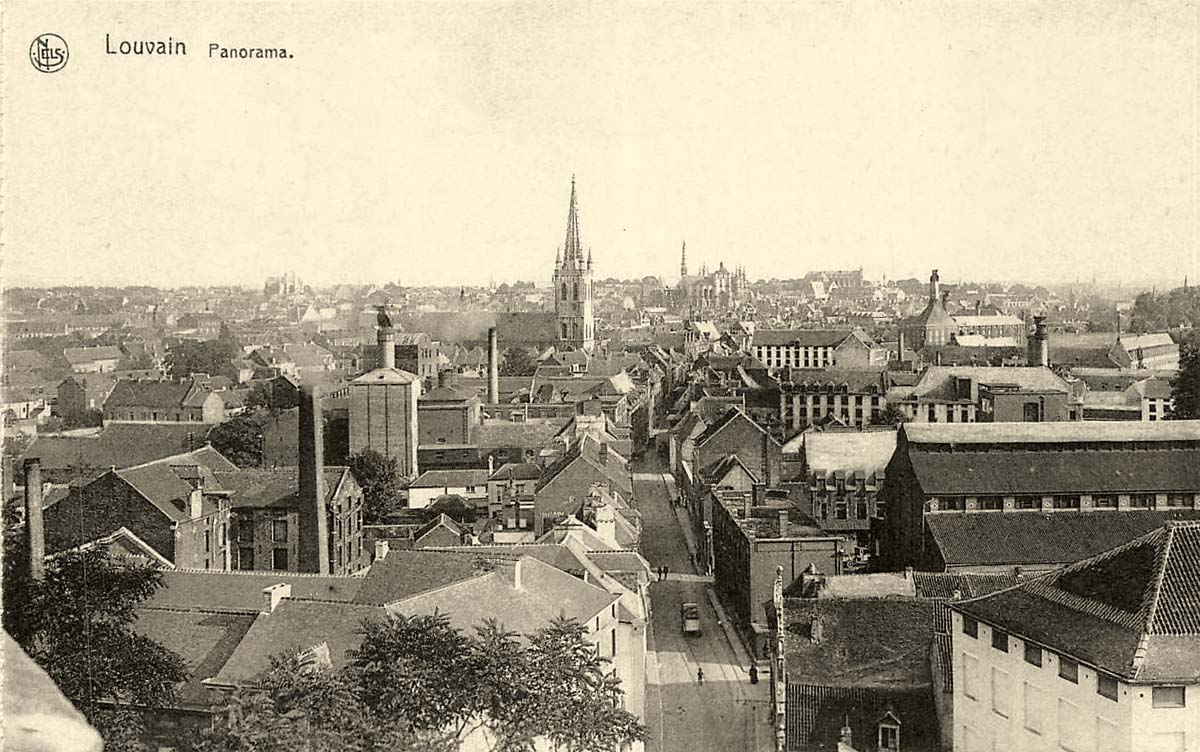 Louvain. Panorama de Ville