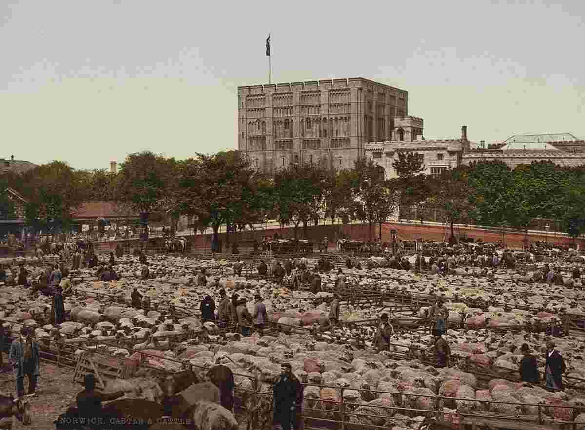 Norwich. Castle and Cattle Market, 1890