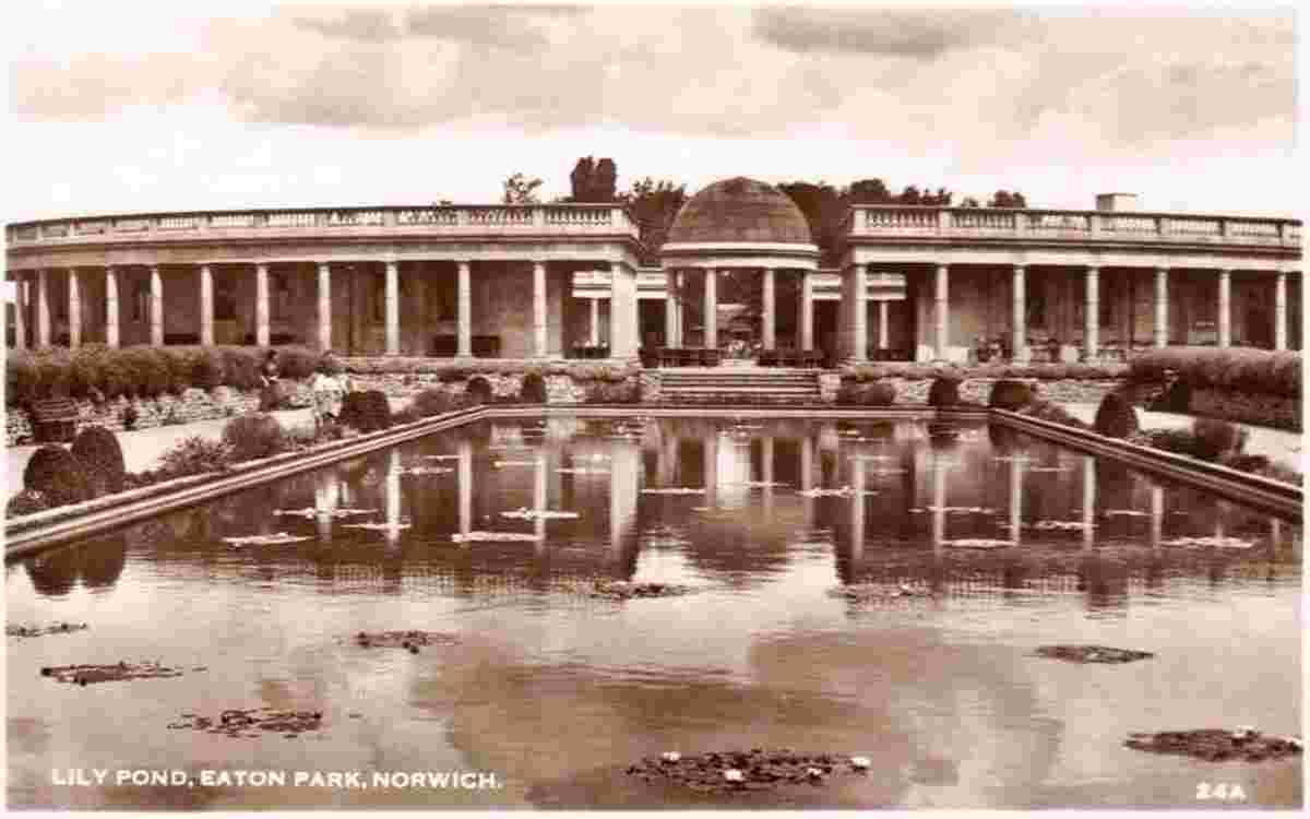 Norwich. Eaton Park, Lily Pond