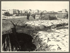Reykjavík. Fish drying, circa 1900