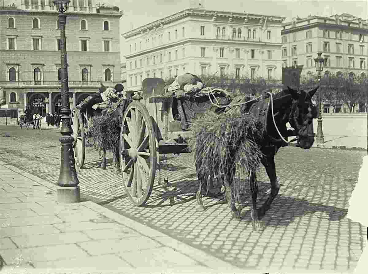 Rome. Drivers sleeping in their carts, circa 1910