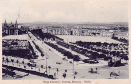Valletta. King Edward's Avenue, Floriana, 1913