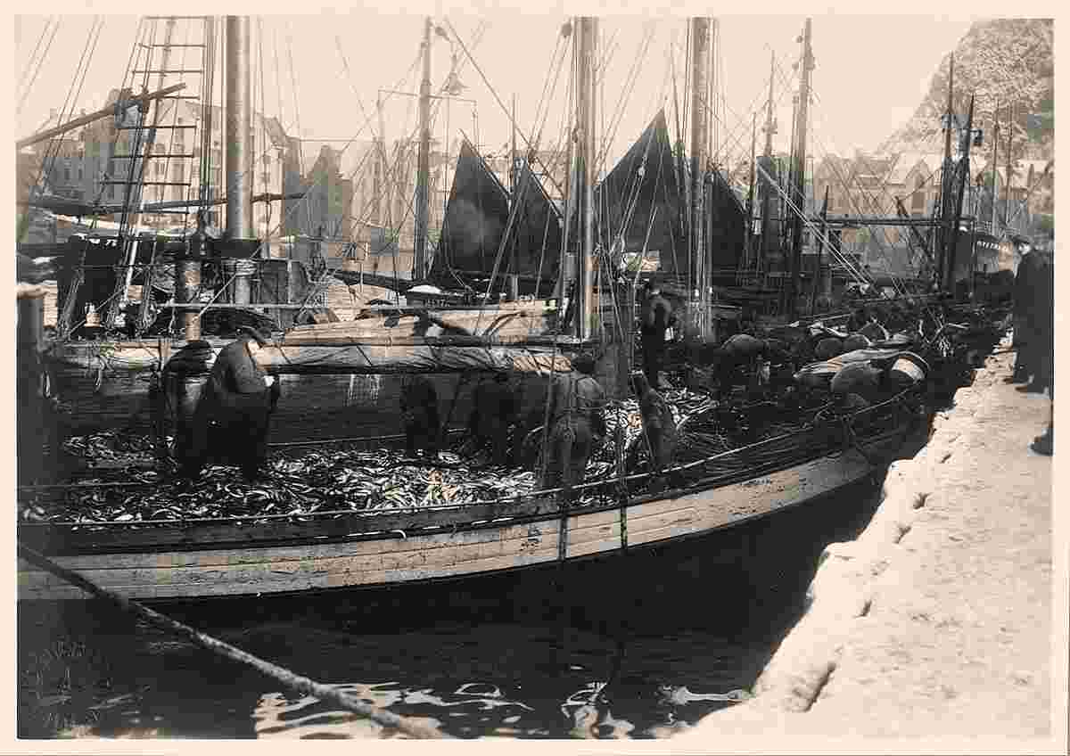 Ålesund. Trading of herring, 1920
