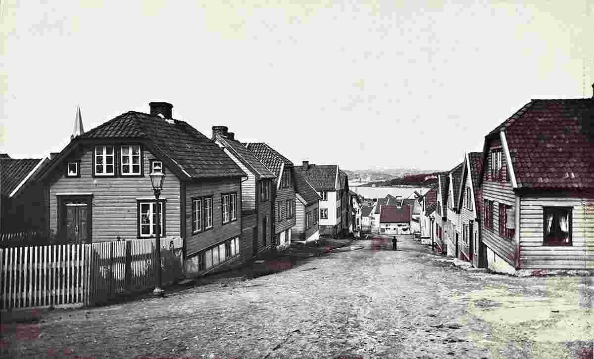 Stavanger. Panorama of the city, circa 1869