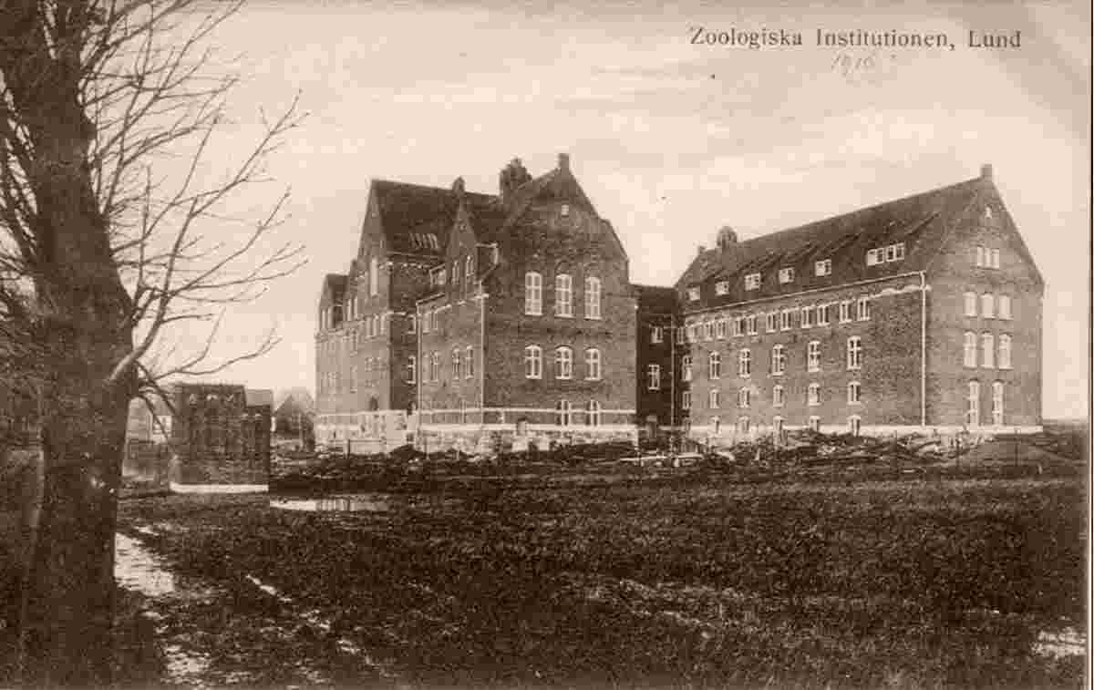 Lund. Zoological Institute, 1916