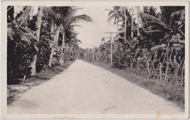 Hagåtña. Road between Agana and Sumay, circa 1930