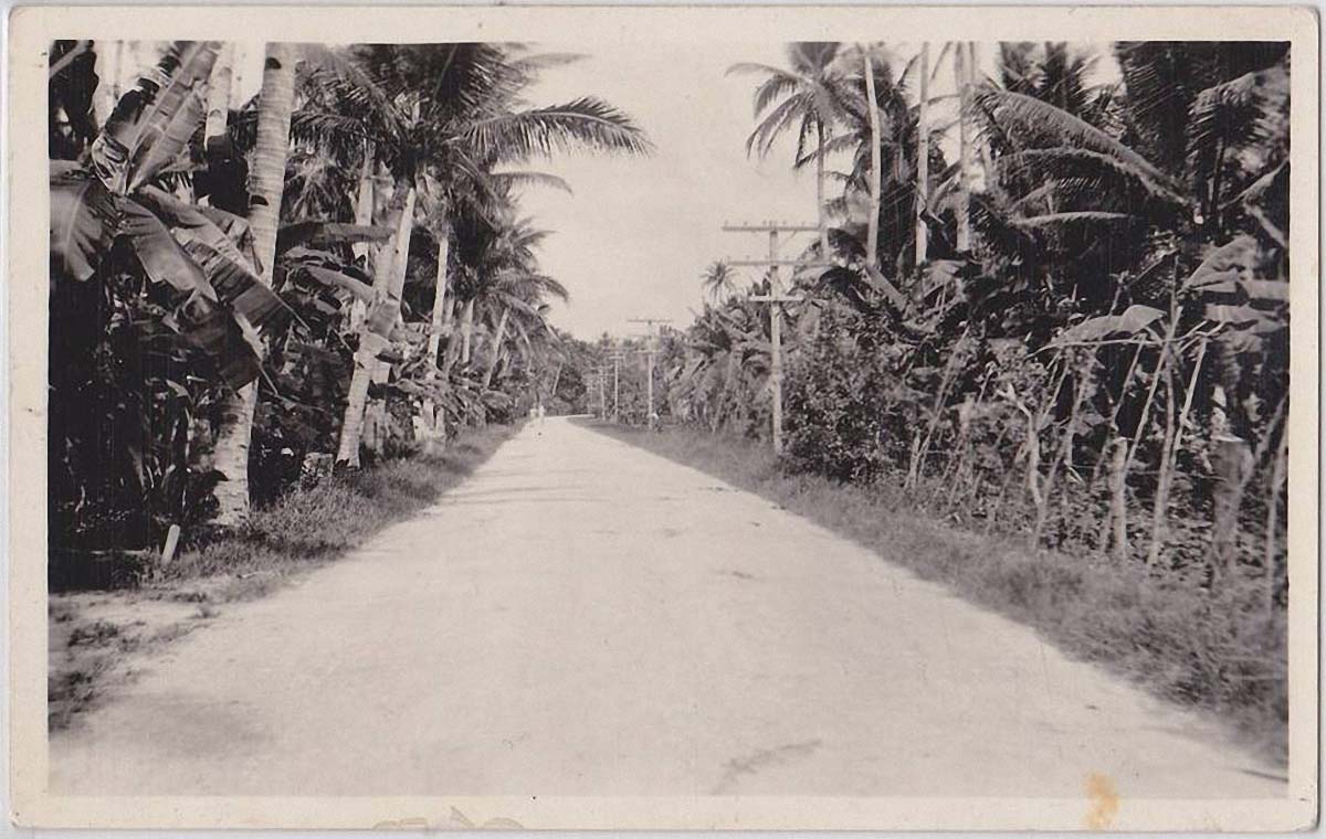 Hagåtña (Agana, Agaña). Road between Agana and Sumay, circa 1930