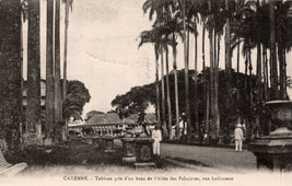 Cayenne. Allee des Palmistes, Lalouette Street