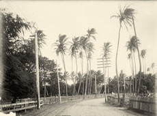 Honolulu. Road to Waikiki, between 1908 and 1919