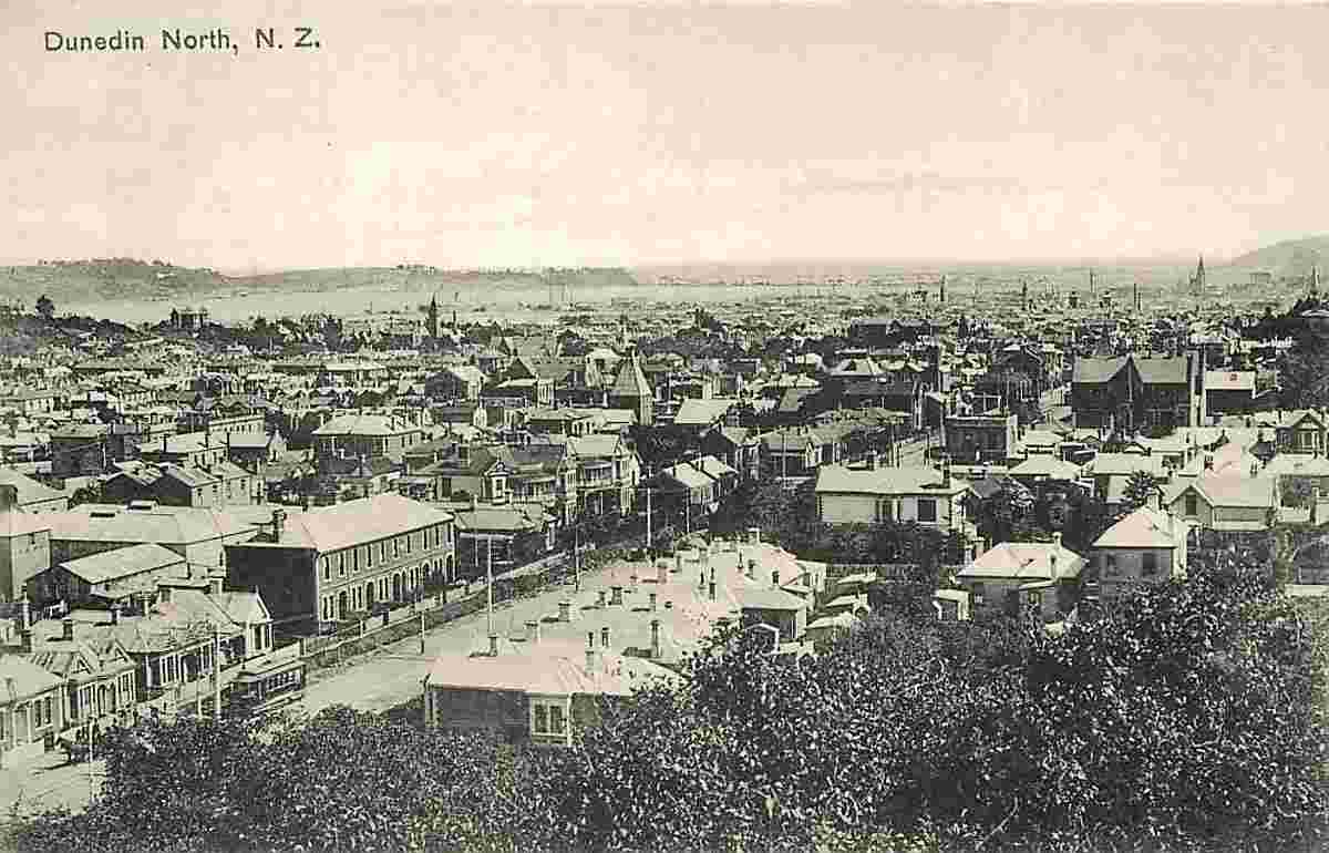 Dunedin. Panorama of the City, 1913