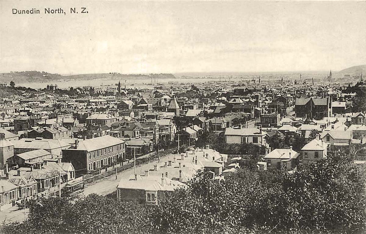 Dunedin. Panorama of the City with north, 1913