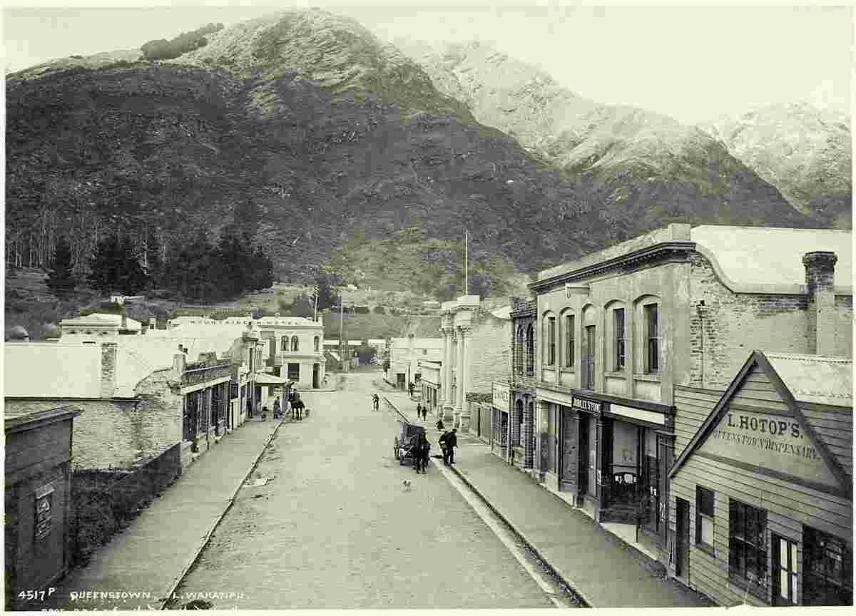 Queenstown. Panorama of Street, 1870-1880s